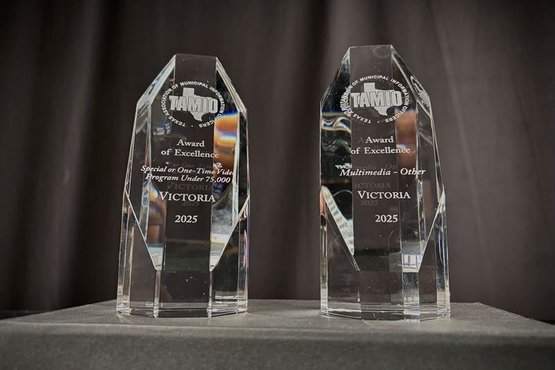 Two glass polyhedral trophies against a black backdrop